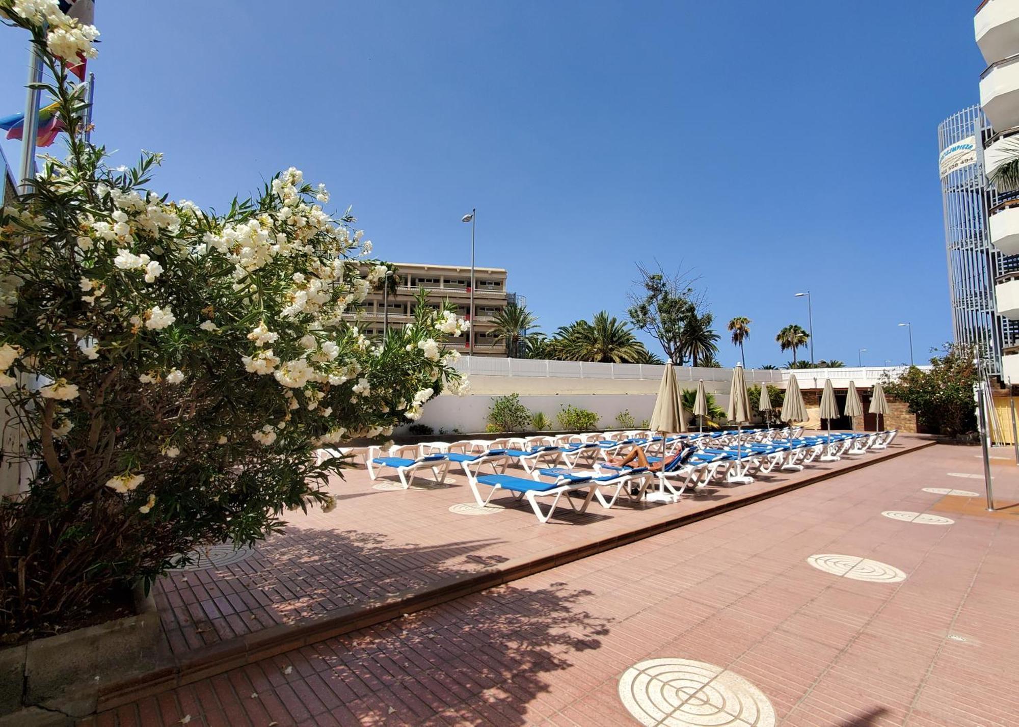 Las Camelias Apartments Playa del Inglés Exterior foto